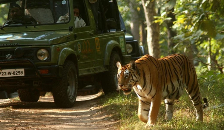 Buxa Tiger Reserve
