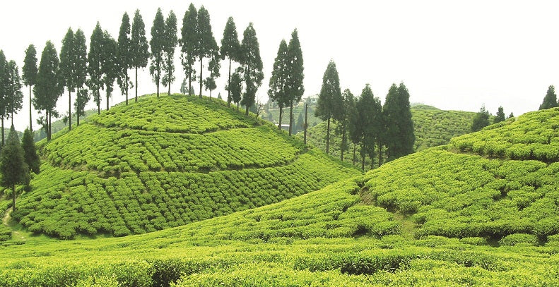 Suntalekhola
