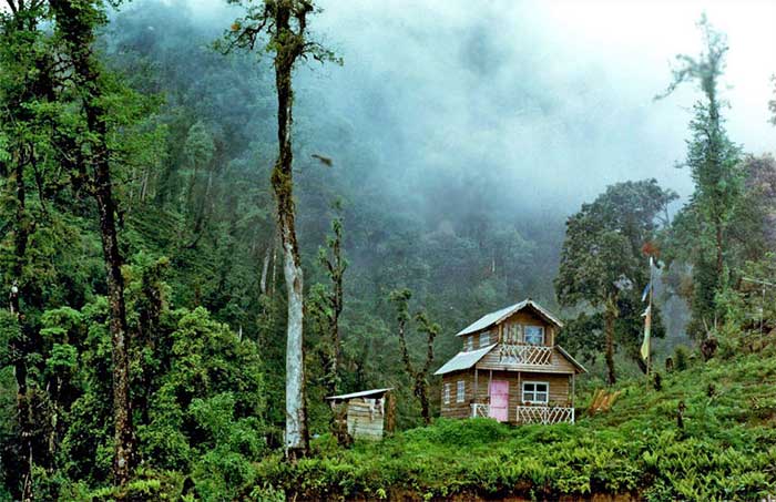 Village life