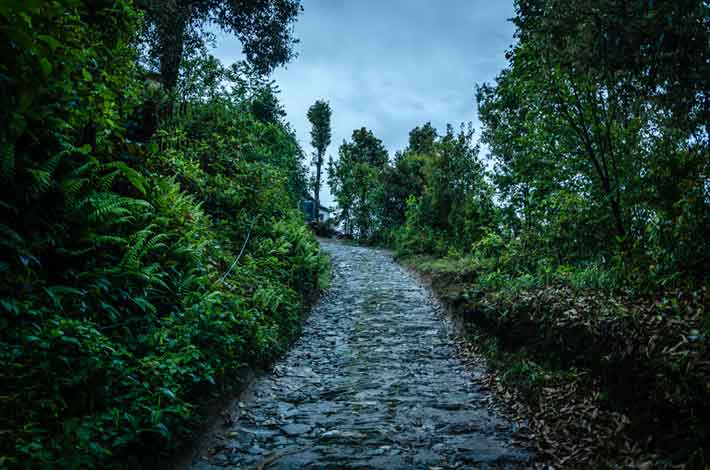 Rishyap Ridge